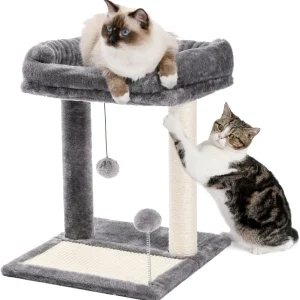 Cat Scratching Post Bed, Small Cat Tree Tower with Cat Scratcher Pad Large Top Removable Bed with Play Ball Great for Kittens an